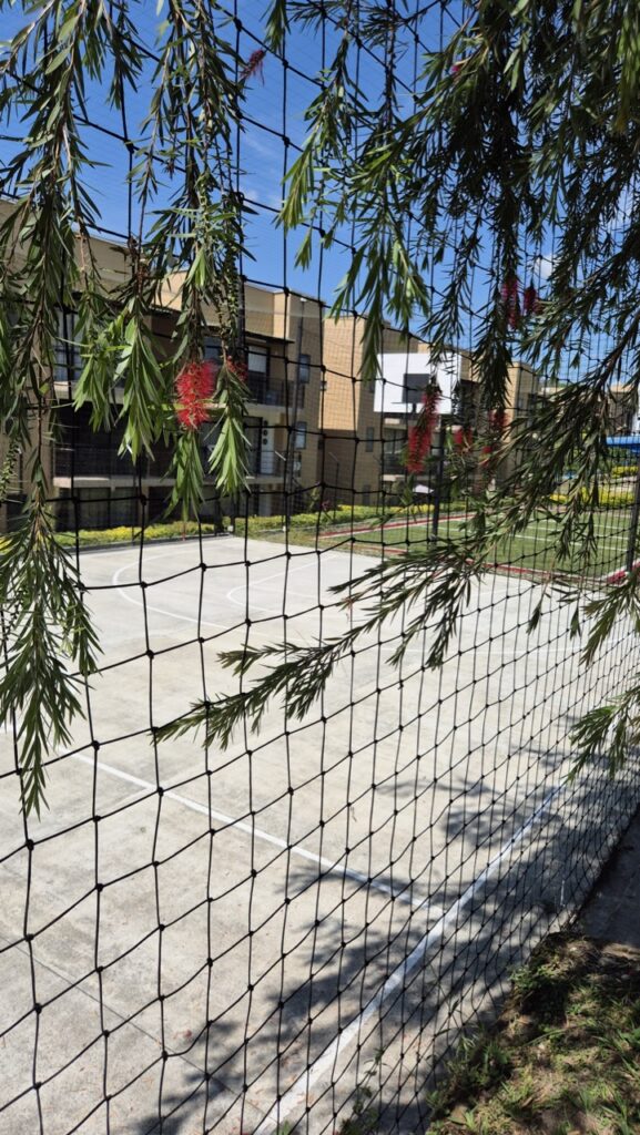 20240821_100559 Large