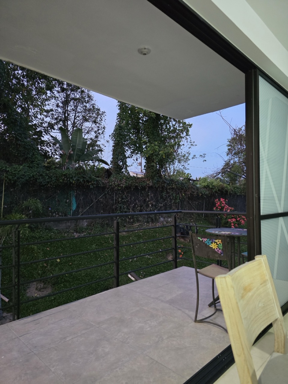 20240829_181907 Large